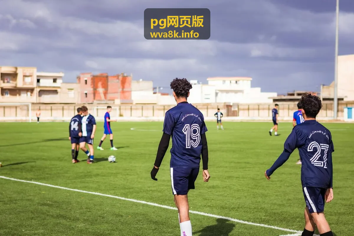 pg网页版 在会议投屏大屏环境下的界面比例