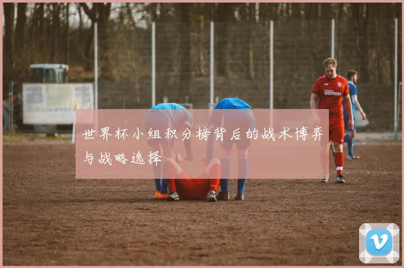 世界杯小组积分榜背后的战术博弈与战略选择