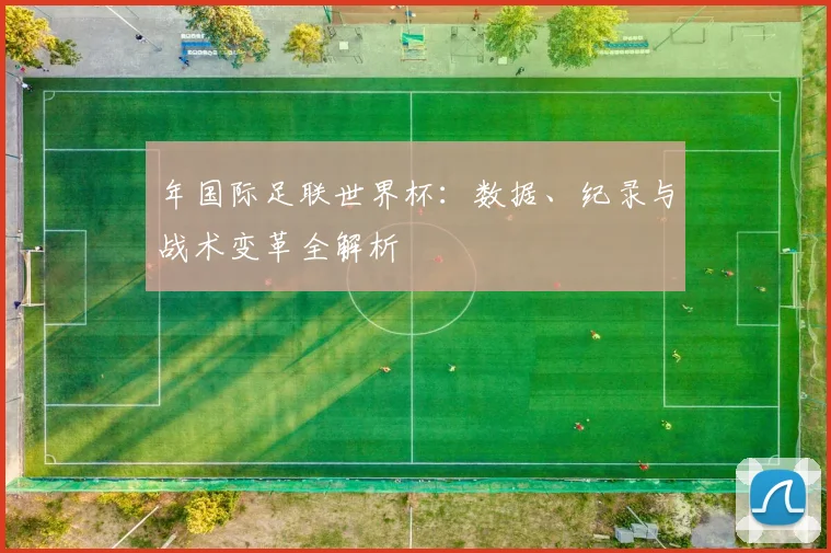 年国际足联世界杯:数据、纪录与战术变革全解析