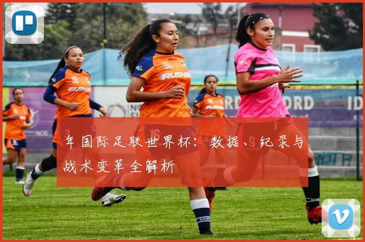 年国际足联世界杯:数据、纪录与战术变革全解析