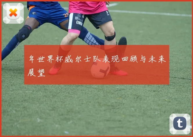 年世界杯威尔士队表现回顾与未来展望