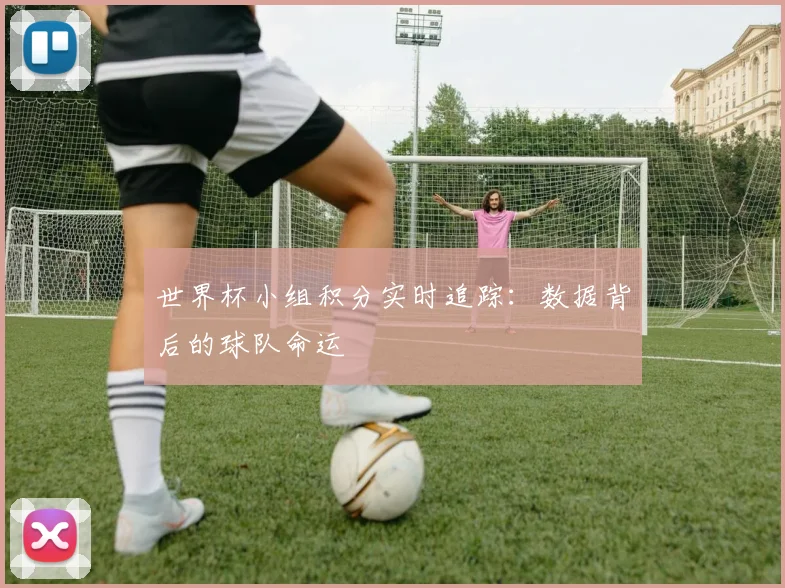 世界杯小组积分实时追踪：数据背后的球队命运