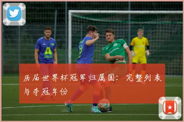 历届世界杯冠军归属国：完整列表与夺冠年份