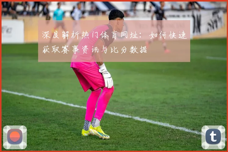 深度解析热门体育网址：如何快速获取赛事资讯与比分数据